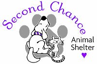 Our local NO KILL animal shelter. Check out all the cute dogs and cats